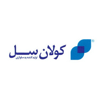 تولیدکننده پدهای سلولزی